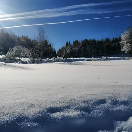 Planinska Kuca Jovanic Apartment Nova Varoš