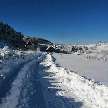 Apartment Planinska Kuca Jovanic