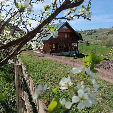 Planinska Kuca Jovanic Apartment Nova Varoš