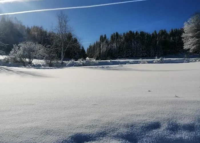 Planinska Kuca Jovanic Διαμέρισμα Nova Varoš